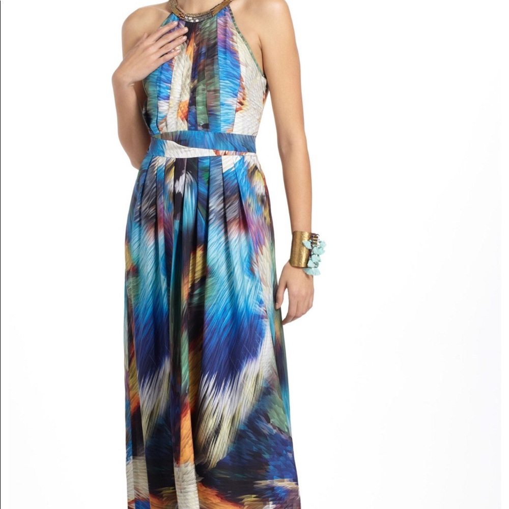 Anthropologie Maxi Dress